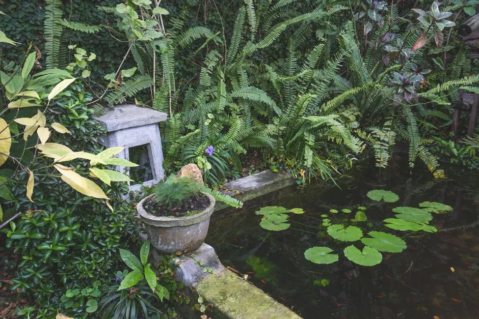 Serene garden pond surrounded by lush greenery and ferns in Vietnam.