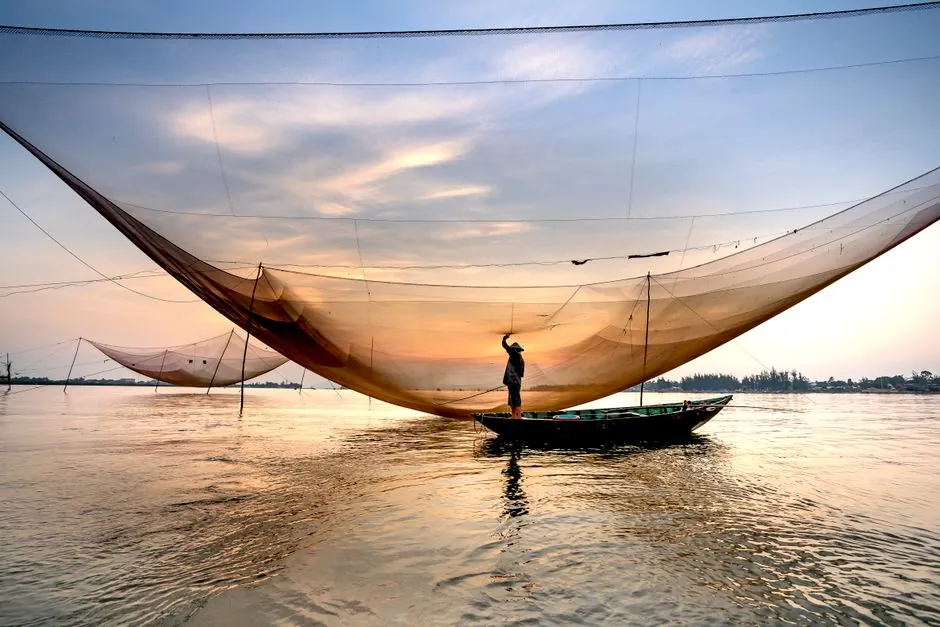 Silhouette of unrecognizable male standing in wooden boat and catching fish with large net stretched between bamboo sticks over Thu Bon River at sunset