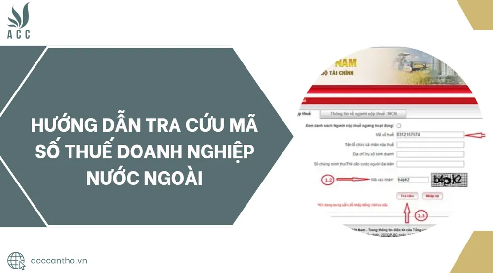 tra cứu mã số thuế doanh nghiệp nước ngoài — Hồ sơ và tài liệu cần chuẩn bị trước khi tra cứu